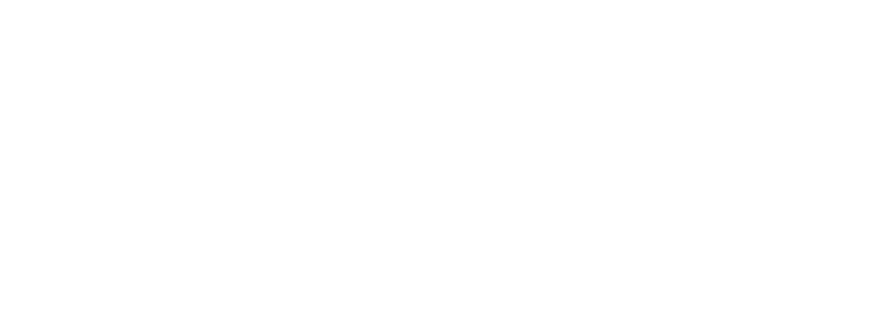 Dash
